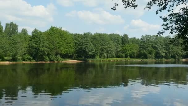 Bellissimo Paesaggio Verde Foresta Riflette Nel Panorama Del Fiume — Video Stock