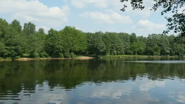 Hermoso Paisaje Verde Bosque Refleja Río — Vídeo de stock