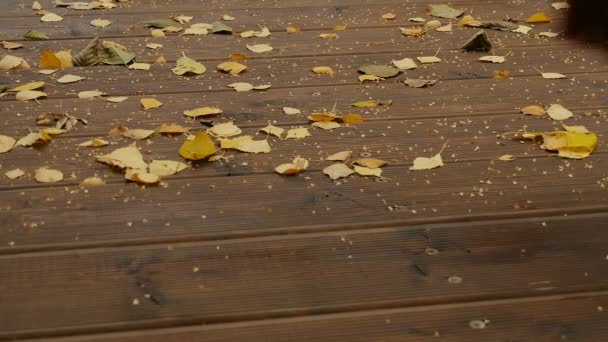 Broom Sweeps Fallen Yellow Leaves — Stock Video