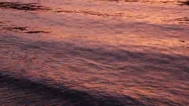 Red Wavy Background Evening Red Sea Waves — Stock Video