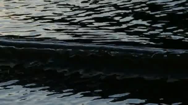 海岸に劇的な不吉な黒い波が — ストック動画