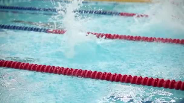 Start Swimming Freestyle Sequence Sound Petersburg Russia December 2016 International — Stock Video