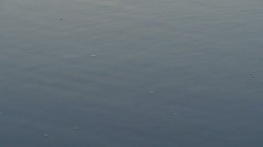 Böcekler suyun yüzeyinde alçaktan uçar.