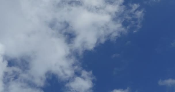 Cumulus Moln Overhead Tid Förfaller — Stockvideo