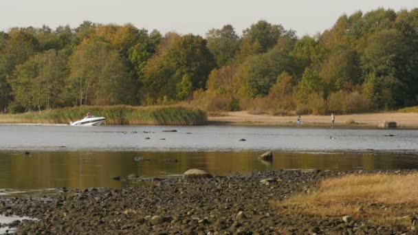 Schilderachtige Herfst Rivierlandschap Rust Bij Rivier — Stockvideo