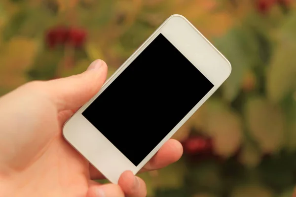 Bílý Smartphone Ruce Chlap Bobule Podzimní Krajina — Stock fotografie
