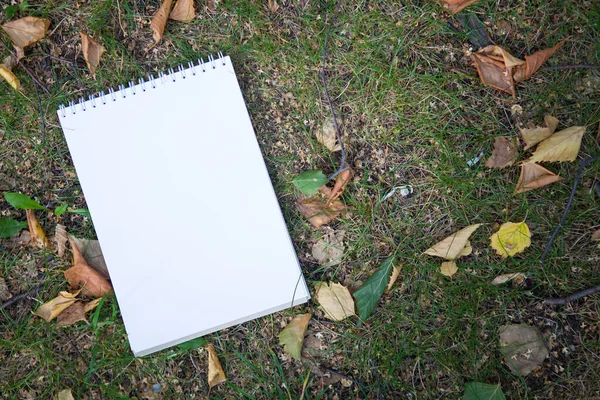 White Sheet Notepad Autumn Foliage Grass — Stock Photo, Image