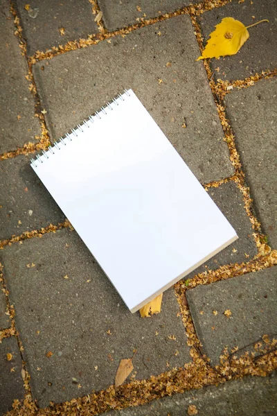 White Notepad Sheet Autumn Foliage Pavement Background — Stock Photo, Image