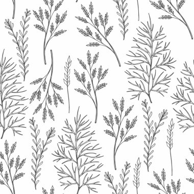 Beyaz bir arka plan üzerinde otlar ile sorunsuz vektör desen. El çizimi