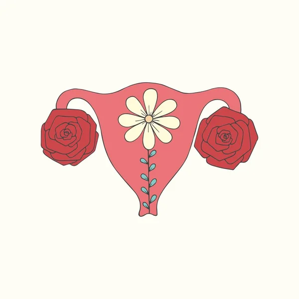 Útero Cuerpo Femenino Dibujo Manual Ilustración Vectorial — Vector de stock