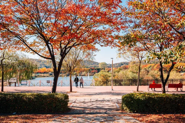 Herbst Ahorn Und See Incheon Grand Park Korea — Stockfoto