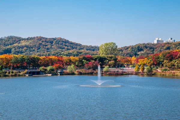 Otoño Arce Lago Incheon Grand Park Corea — Foto de Stock