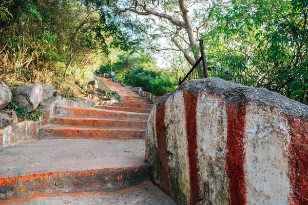 Chamundi tepe adımları ve orman Mysore, Hindistan