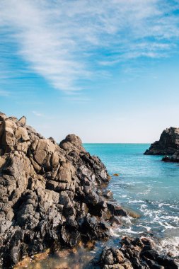 Gangdong Hwaam Jusangjeolli Cliff, tek sıra halinde ortak ve deniz Ulsan, Kore