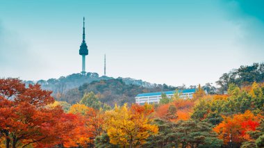 Namsan Seul Kulesi ile sonbahar akçaağaç Kore