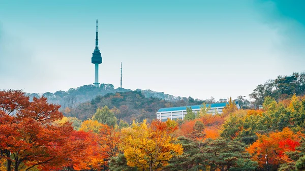 Namsan Seul Kulesi ile sonbahar akçaağaç Kore