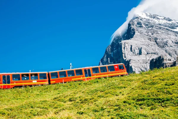 Red Train Snowy Mountain Meadow Jungfrau Region Switzerland — Stock Photo, Image