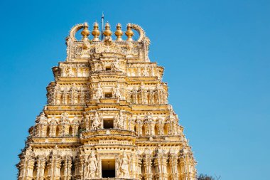 Sri Bhuvaneshwari Tapınağı'nda Mysore Palace Mysore, Hindistan