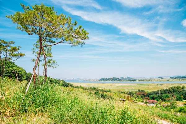 Daebudo Wiejski Wieś Natura Widok Ansan Korea — Zdjęcie stockowe