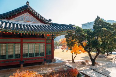 Deoksugung Sarayı ile sonbahar akçaağaç Seul, Kore