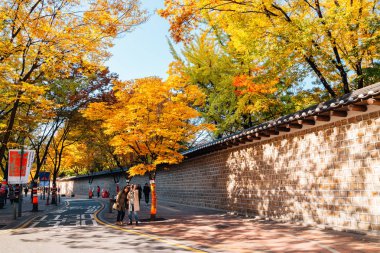 Seoul, Kore - 9 Kasım 2016: Deoksugung stonewall geçit ile sonbahar akçaağaç