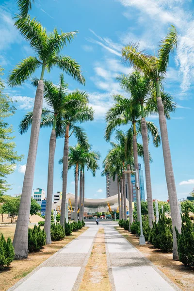 高雄市中央公園駅とヤシの木 — ストック写真