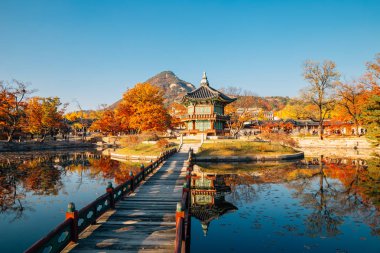 Gyeongbokgung Sarayı Hyangwonjeong ile sonbahar akçaağaç Seul, Kore