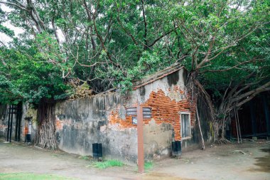 Anping ağaç evi, tarihi mimari Tainan, Tayvan
