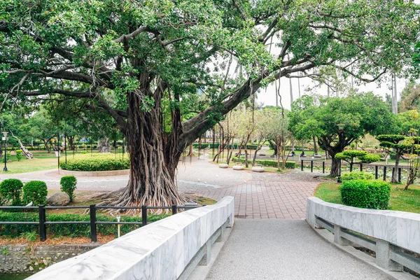 Green tree road at Taichung park in Taichung, Taiwan