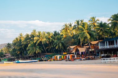 Goa, Hindistan - 23 Aralık 2017: Palmiye ağaçları Palolem plaj