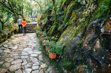 Jambon Rong dağ hiking trail Sapa, Vietnam