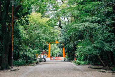 Shimogamo tapınak yakın kapısı ve orman Kyoto, Japonya