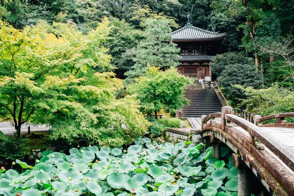Tempio Chion Giardino Verde Estivo Kyoto Giappone — Foto Stock