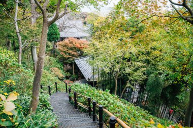 Hasedera Tapınağı doğa Bahçe Manzaralı Kamakura, Japonya