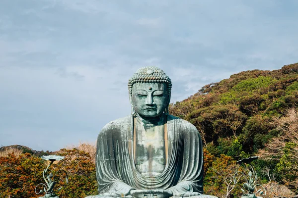Die Große Buddha Bronzestatue Kotoku Tempel Kamakura Japan — Stockfoto