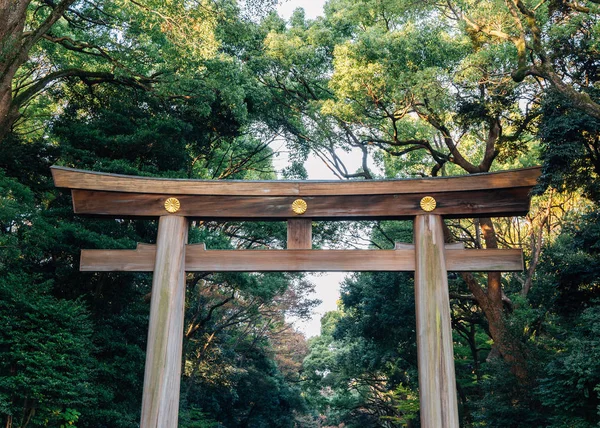 Meiji Jingu Shrine Torii Kapısı Tokyo Japan — Stok fotoğraf