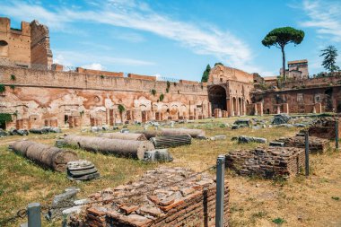 Palatine tepesi antik kalıntıları Roma, İtalya