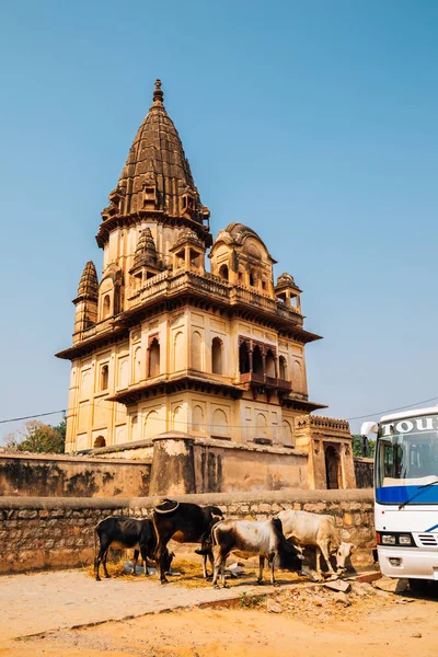 Ruines Antiques Chhatris Orchha Inde — Photo