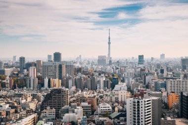 Tokyo cityscape ve Japonya Skytree