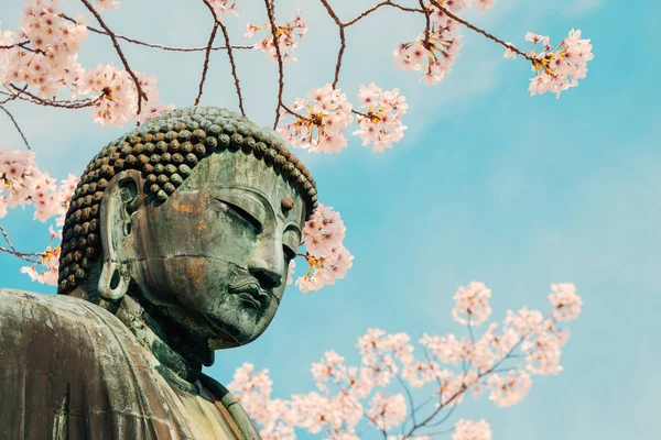 Estátua Bronze Grande Buda Com Flor Cereja Templo Kotoku Kamakura — Fotografia de Stock