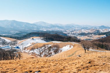 Kış dağ Daegwallyeong koyun çiftliği Pyeongchang, Kore