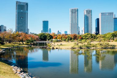 Hamarikyu Bahçeleri modern binalar ve sonbahar gölette Tokyo, Japonya