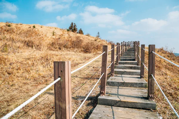 Yeongju Mountain Oreum Sopečné Kuželovité Turistické Stezky Podzim Jeju Island — Stock fotografie