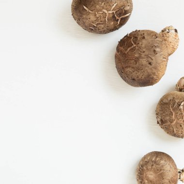 Beyaz arka planda izole taze mantarlar