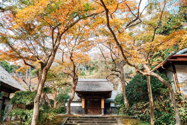 Templo Engakuji com bordo de outono em Kamakura, Japão — Fotografia de Stock