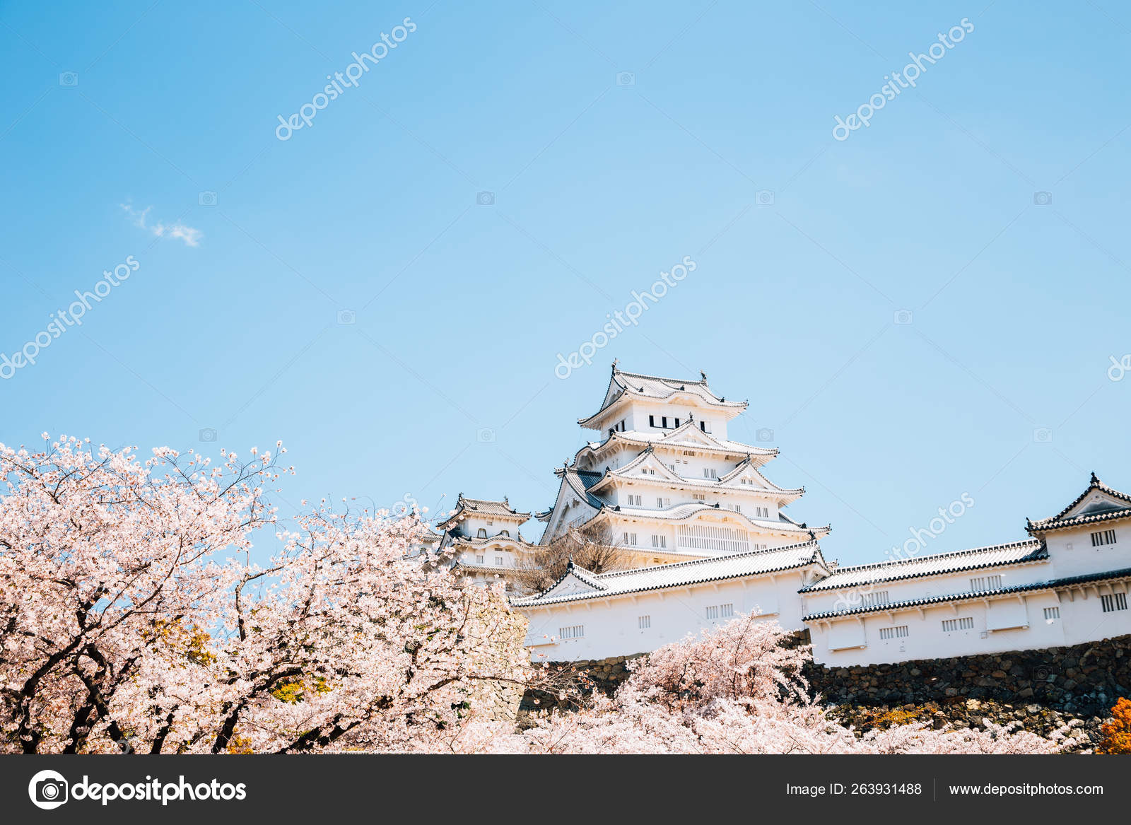 Himeji Castle with spring cherry blossoms in Japan — Stock Photo