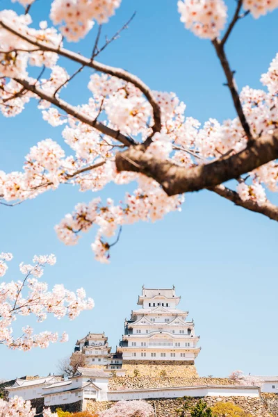 Kasteel Himeji met lente kersenbloesem in Japan — Stockfoto