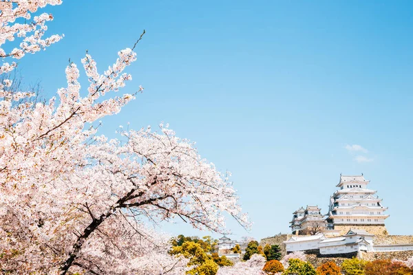 Kasteel Himeji met lente kersenbloesem in Japan — Stockfoto