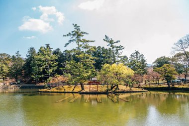 Nara Todai-ji tapınağında gölet üzerinde Torii kapısı, Japonya