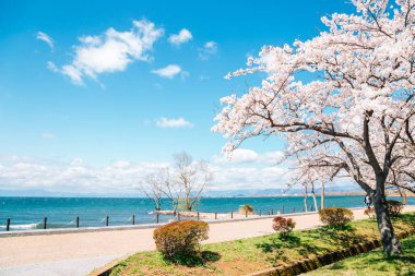 Shiga kiraz çiçekleri ile Biwa Gölü, Japonya